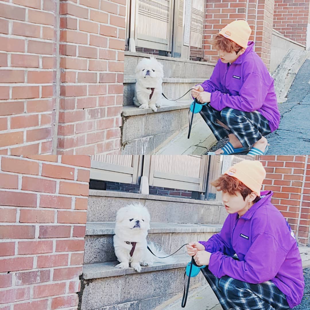 hi_saeon's tweet photo. 181012 pu_star 행복한 뿌스타그램
신뿌딩과 아침산책😀겨울이왔군😚
#뿌로다
#dog #digstargram #뿌딩 #Puding #뿌스타 #뿌스타그램 #Pustar #Pustargram #페키니즈 #댕댕이
#반려견 #뿌댕이 #신뿌딩
#몬트 #MONT #로다 #RODA
https://t.co/tqQ4kqMWtv https://t.co/9pYMQBc7jT