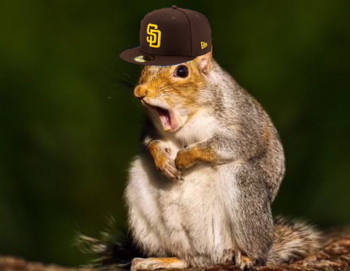 CrisondeckSDP's tweet image. CONGRATULATIONS DBACKS!!!!!