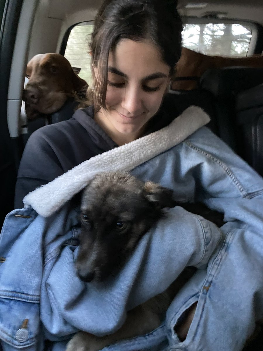 JonesDalel's tweet photo. Hace un mes encontramos a Tommy hecho bolita, desnutrido y a punto de morir solito.💔 Después de donativos, transfusión sanguínea y hospital, ya está sano para encontrar un hogar🥹 Es muy amoroso, juguetón y AGRADECIDO💛🐶 Me ayudan con su rt? https://t.co/4W2C2cHpkm