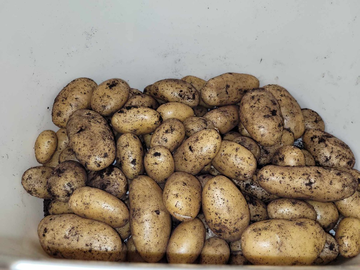 Inglerock Canteen tweet media