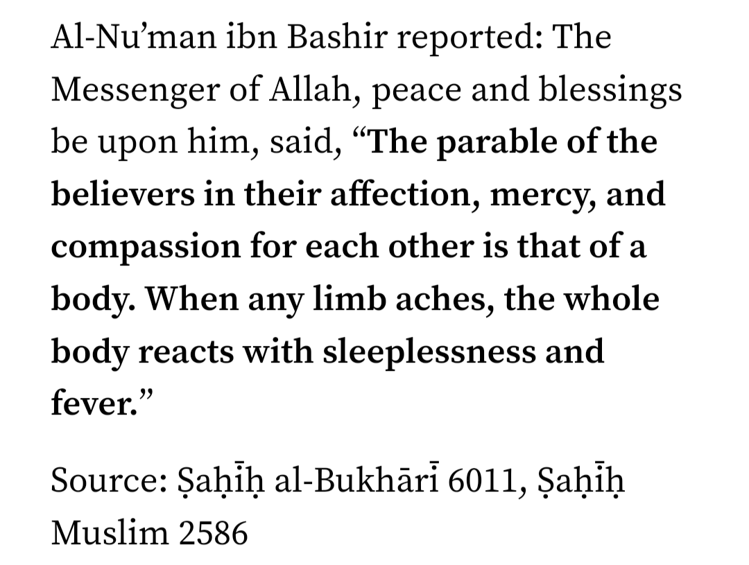 ProofsOfIslamPI's tweet photo. The Muslims will be victorious over the criminal Zionists sooner or later

Make sincere du'a for the guidance and protection of the Muslims in Palestine. Make sincere du'a that we become people that Allah is pleased with and gives victory to. Make du'a that it is sooner not later https://t.co/Aql5cxSNJk