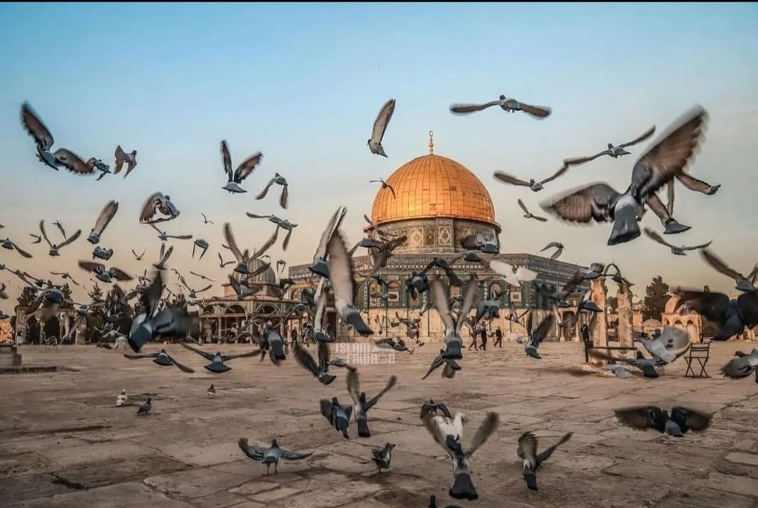 Allah'ım Bedir 'de, Uhut'da ve Hendek'te görünmez ordularınla Müslümanlara yardım ettiğin gibi Filistinli Müslüman kardeşlerimize de yardım et. 
Onları israile karşı muzaffer eyle. 
Zalim siyonistlere zilleti tattır YA RABB
#israilBirTeroerDevletidir 
#FilistinlilerinYanındayım