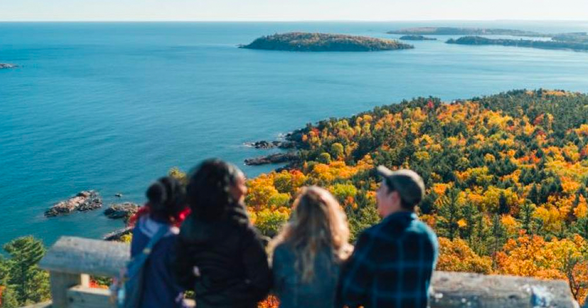 PureMichigan's tweet image. Hiking is a huge part of fall in #PureMichigan. Which one of these trails is the most relaxing to you? 

puremi.ch/3MuKLw2 #KeepFallFresh #FallFilter #MichiganTrails