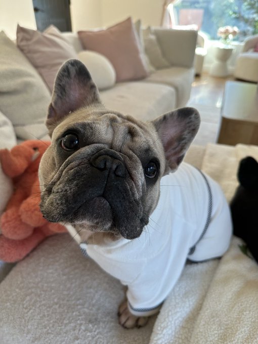 Watch Sapphire Howell's leaked NSFW photo on TwXstars