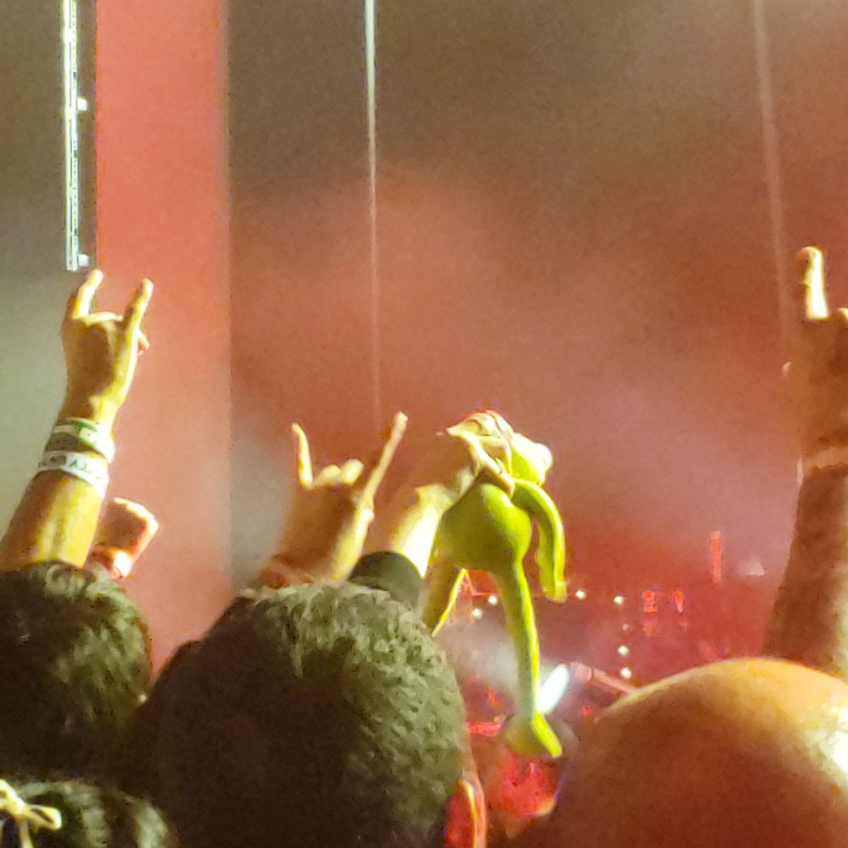 slayerizedcarol's tweet photo. Shoutout to the person who brought Kermit to the LA babymetal show #BABYMETAL #BABYMETALWORLDTOUR2023 #THEBABYKLOKTOUR https://t.co/YGMKi2qQqn