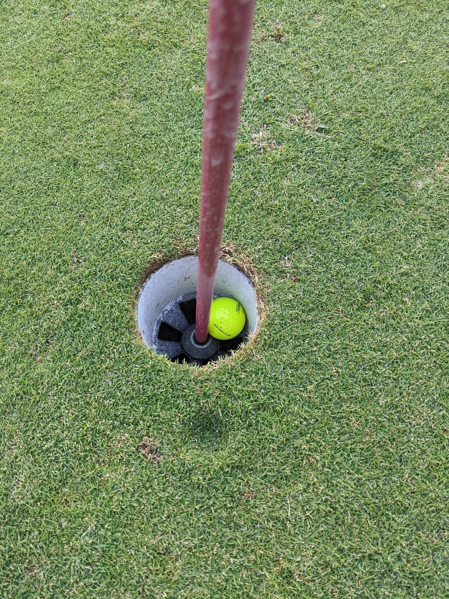 Steph Kolbas tweet media