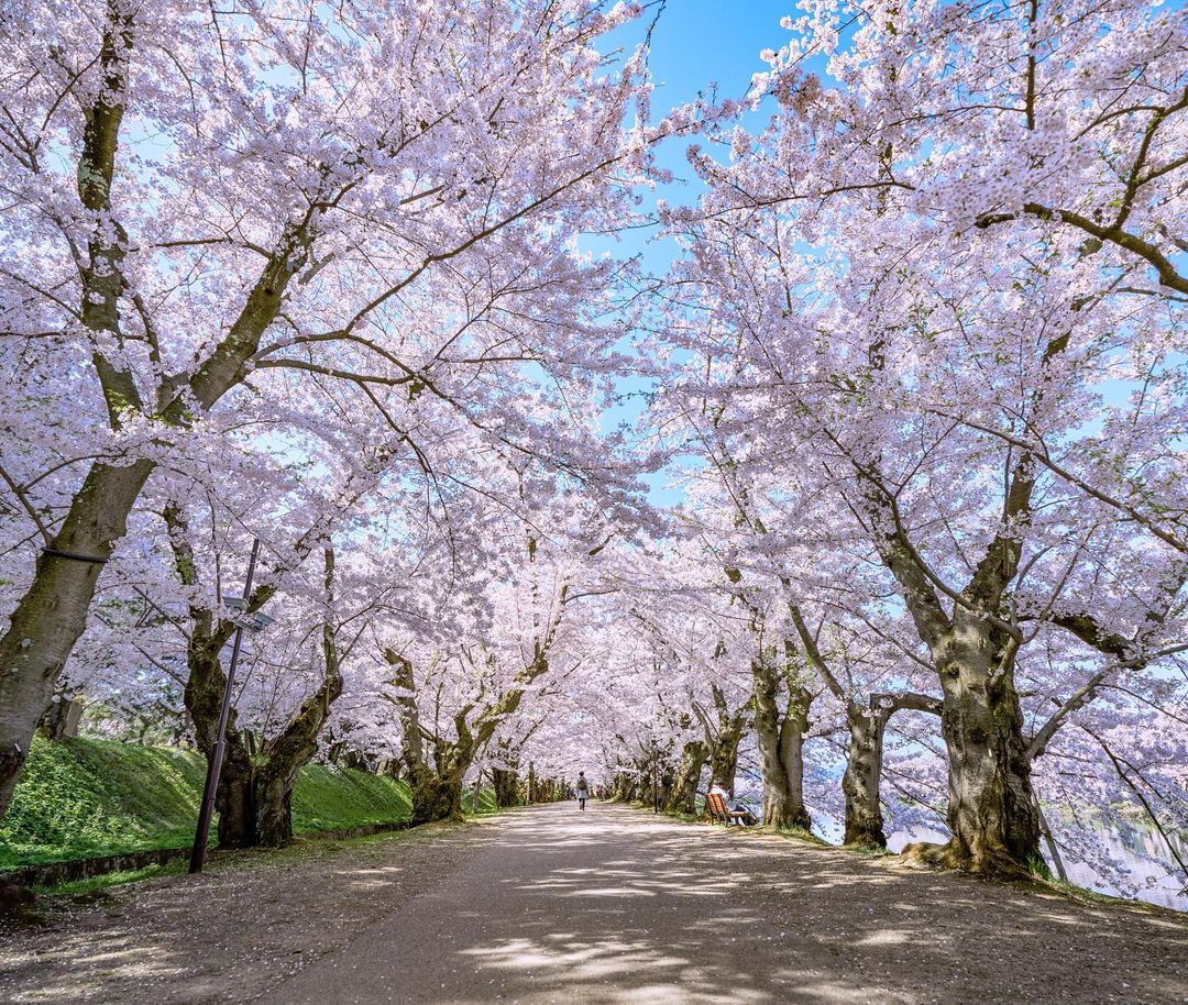 LindelaTravel's tweet photo. Aomori is a captivating destination that invites you to explore and embrace the essence of Japan.
credits to IG: amazing.aomori
#TravelGoals2023 #TravelInspiration2023 #TopTouristDestinations2023 #2023VacationGoals #PopularTravelSpots2023 #2023VacationIdeas #ExploreTheWorld2023 https://t.co/aVXdGmbKDb