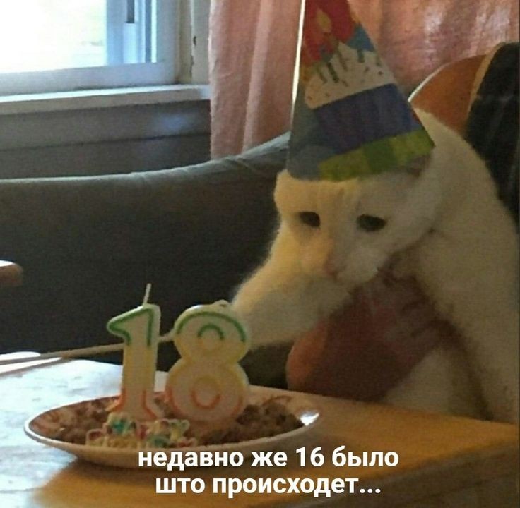 девочки девушки женщины пишите мне! мне ТЕПЕРЬ есть 18!