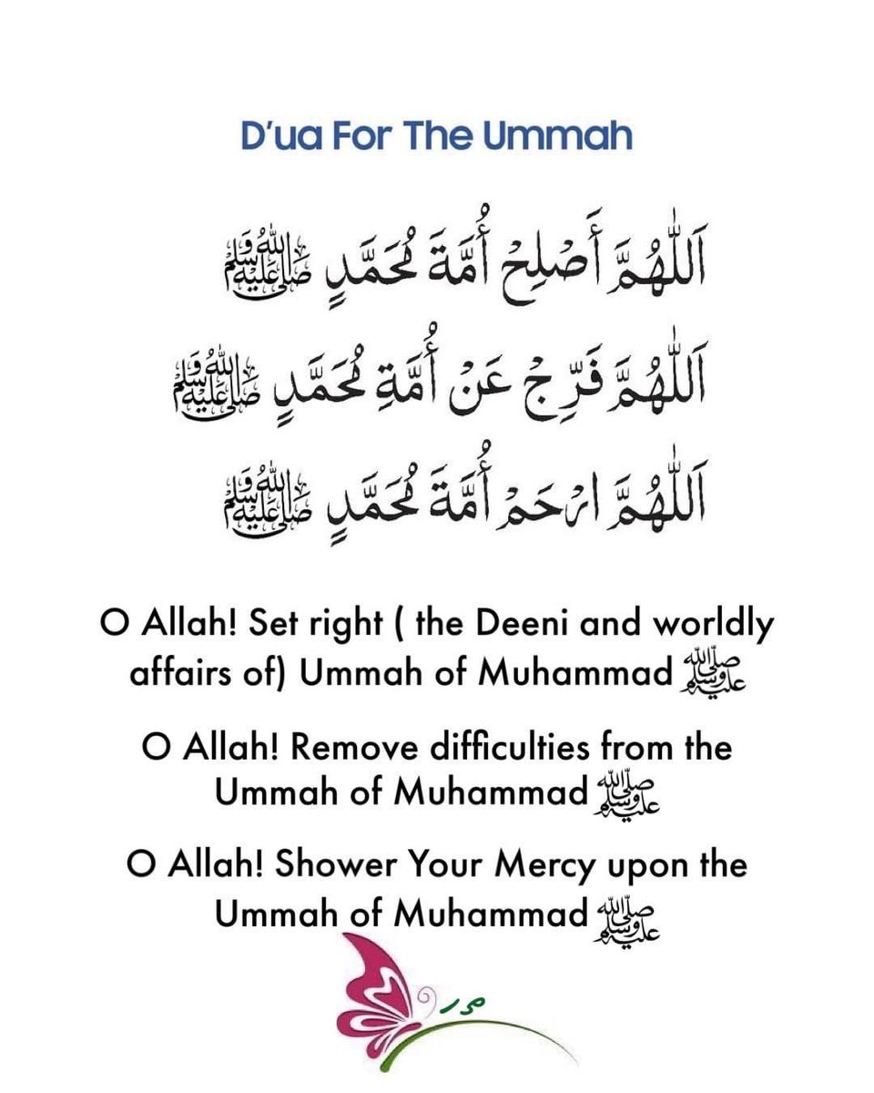 STRIVING MUSLIM tweet media