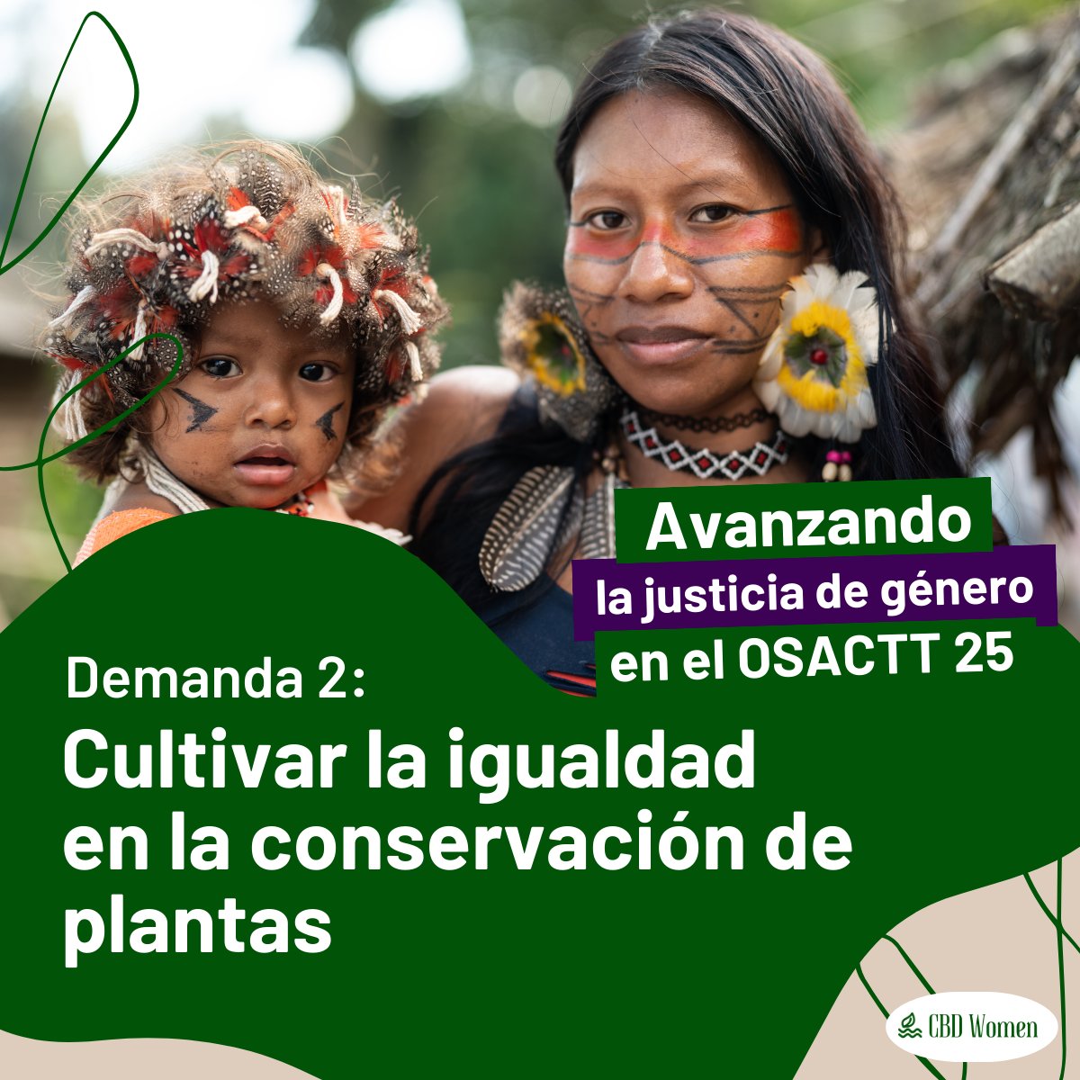 EcoMaxei's tweet photo. 🌍 Cultivar la igualdad en la conservación de las plantas 🌿  🌱 https://t.co/VAhJRoVmab