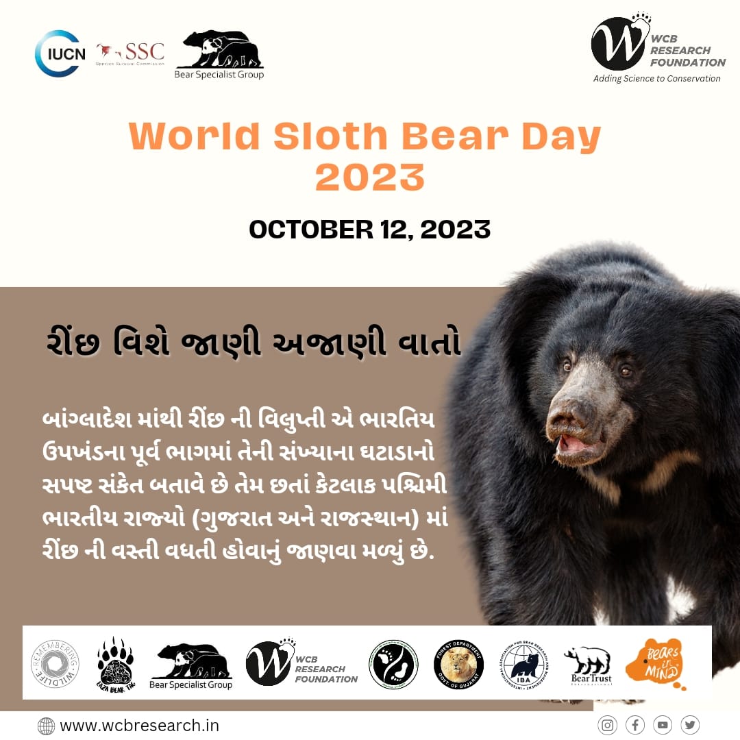 #6 Some unknown facts of sloth bear 

<a href="/BearTrust/">Bear Trust International</a>
<a href="/GujForestDept/">GujaratForestDept</a>
<a href="/IUCNssc/">IUCN Species Survival Commission</a>
<a href="/RemembrWildlife/">Remembering Wildlife</a>
<a href="/bearbiology/">Jennifer Richardson👄♀</a>
<a href="/Berenbos/">Bears in Mind</a>

#worldslothbearday 
#Slothbear #bears 
#wildlife