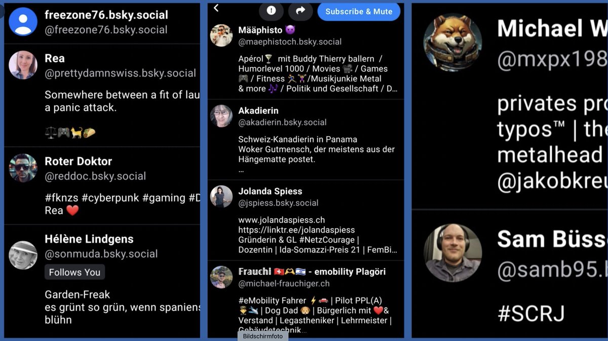 Hélène Lindgens tweet media
