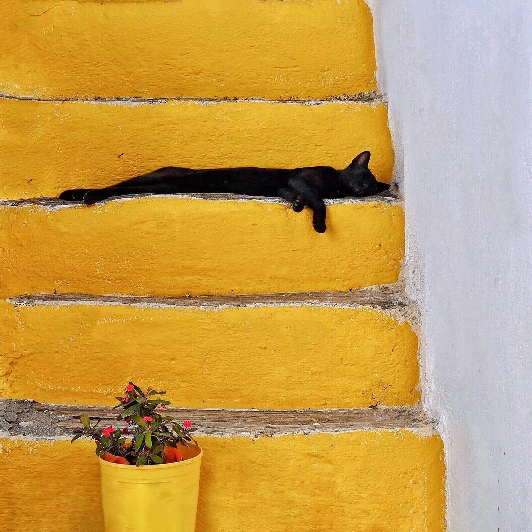 Photography by Katrin Manz