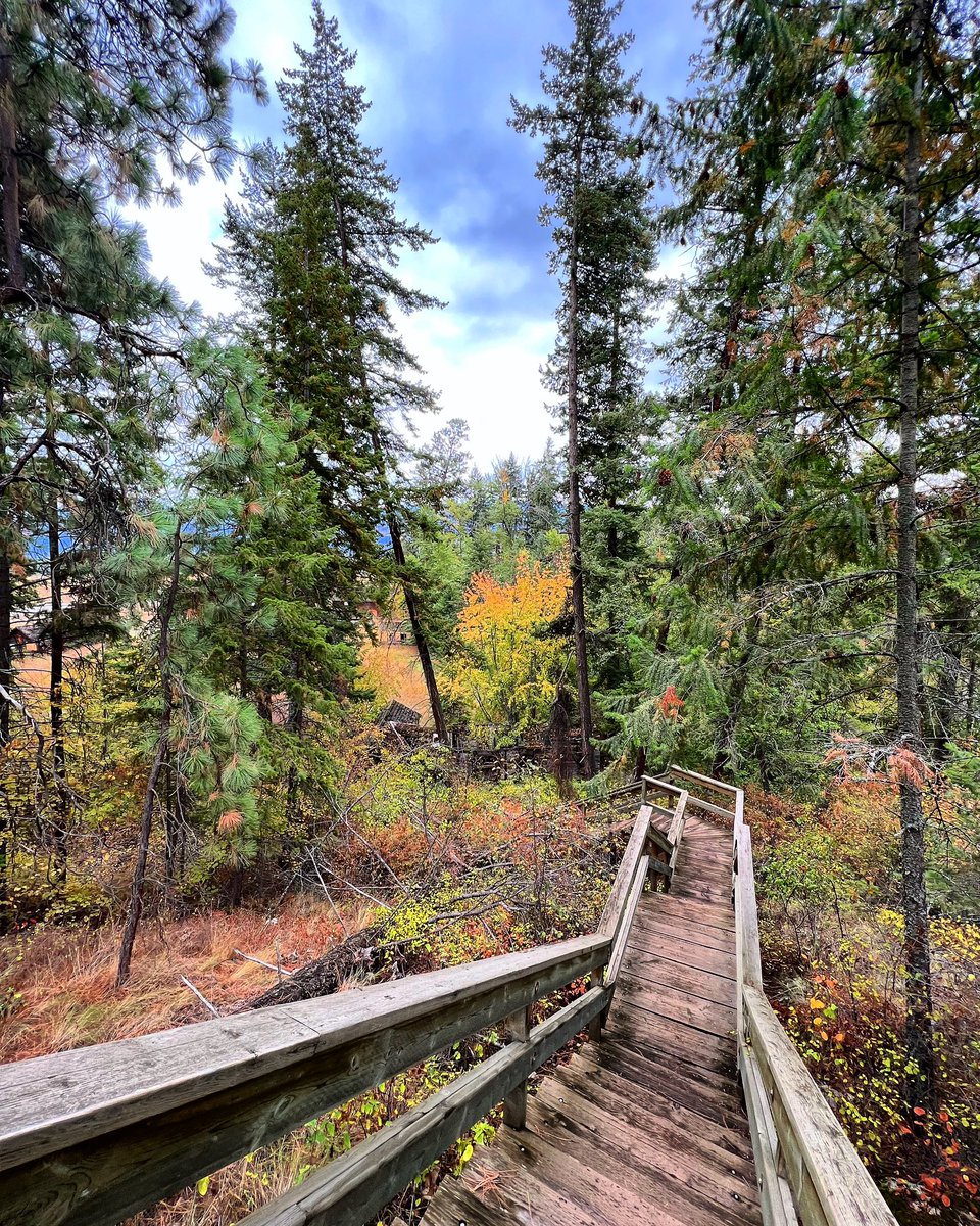 Starting at the bottom & climbing up at Fintry Provincial Park. A 360 hectare park with a rich history along Okanagan Lake. With some newly released rock and roll to help get you there via @youtubemusic:

🥾: music.youtube.com/playlist?list=…

#WestKelowna #CentralOkanagan #AutumnColours