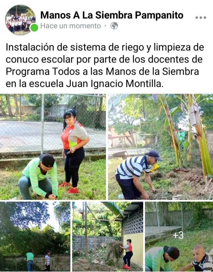 Programa Todos a la Mano de la Siembra presente en el Municipio Pampanito Estado Trujillo
