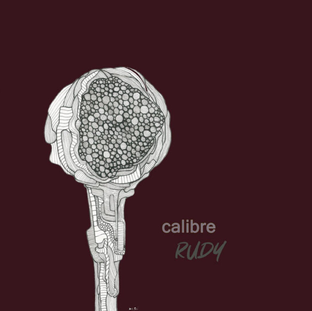 Nothing but perfection 💙☮️🔝 by the music man Calibre 👊🏼 #Calibre #stunted #Newlp #Outnow