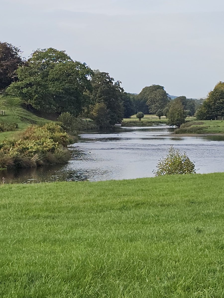 A view down the river Derwent, Chatsworth #river #Chatsworth @ChatsworthHouse @PeakDistrictNT #photography #photo #photographer