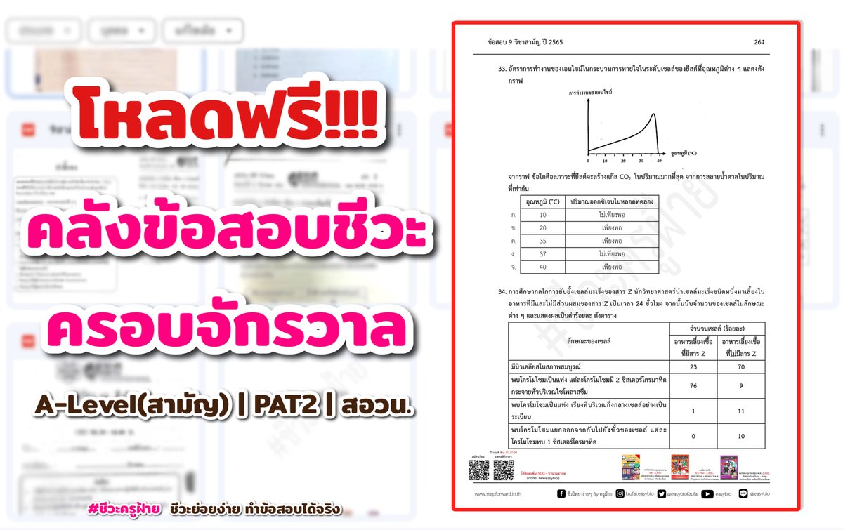 ชีวะครูฝ้าย🧠🌟#dek70 tweet media