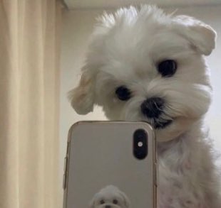 sinkansen97's tweet photo. 🤭
#大橋和也 https://t.co/NtprocBKQk