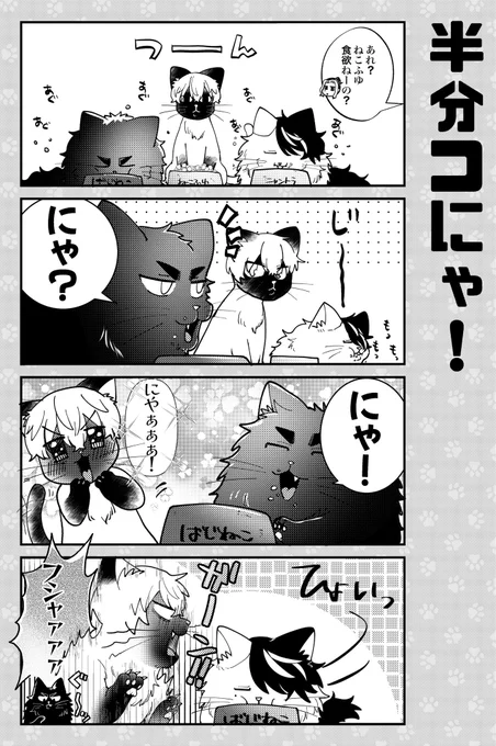 10/15 TOKYO罹破維武 17 𝐧𝐞𝐰『Kit Cat-きっとキャット-』  トリオニャンずシリーズの再録を含めた 描き下ろし+寄稿作品の短編集🐾  全年齢/A5/40p/CPなしバジトリ/¥600  [サンプル1/2]