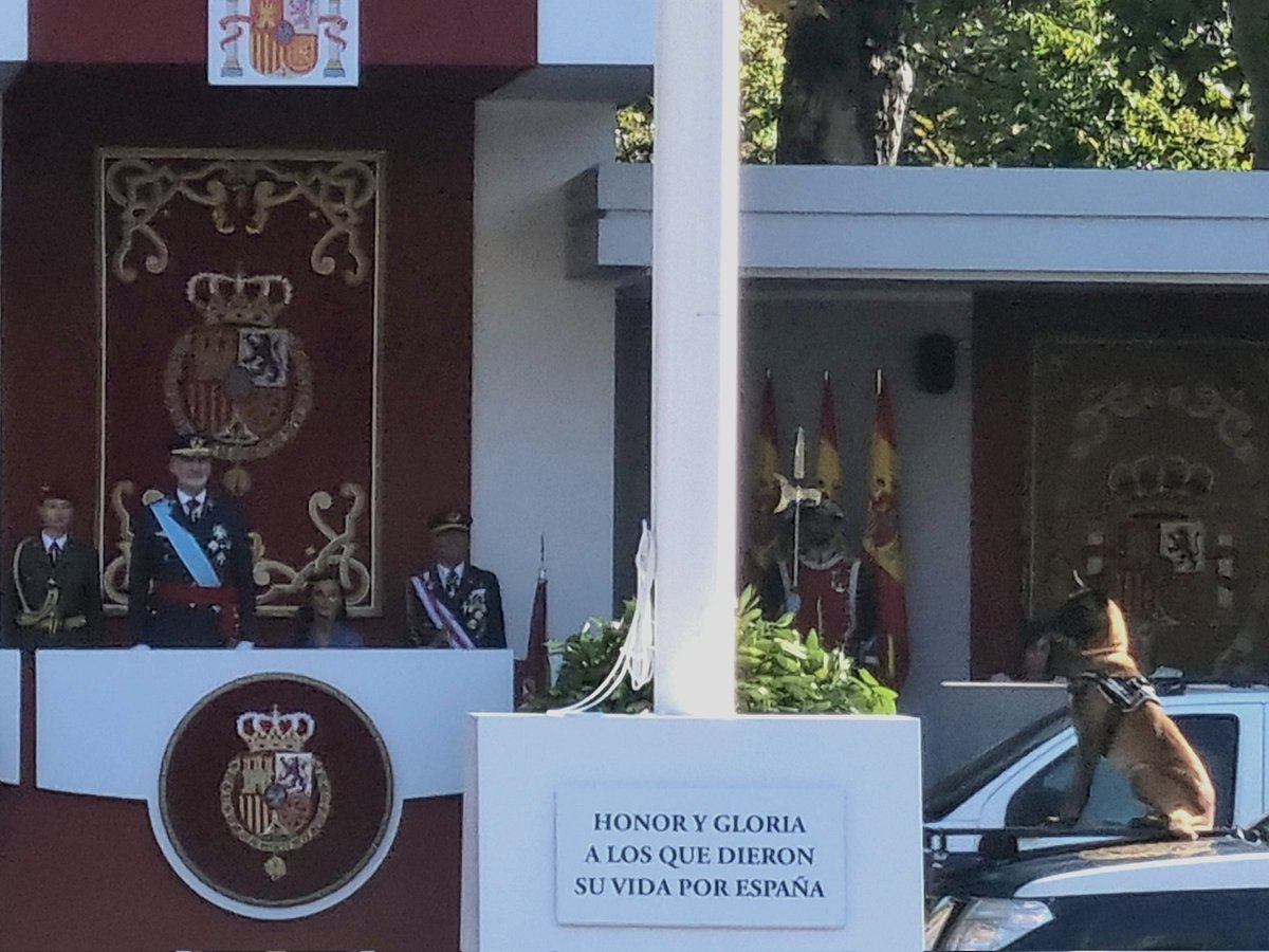 ¡Firmes Cleo! 🫡🇪🇸

Nuestra agente 🐕‍🦺 no puede estar más orgullosa de todo el cariño y aplausos que la rinden  durante el desfile del #DFN23

#12DeOctubre
#SomosTuPolicía