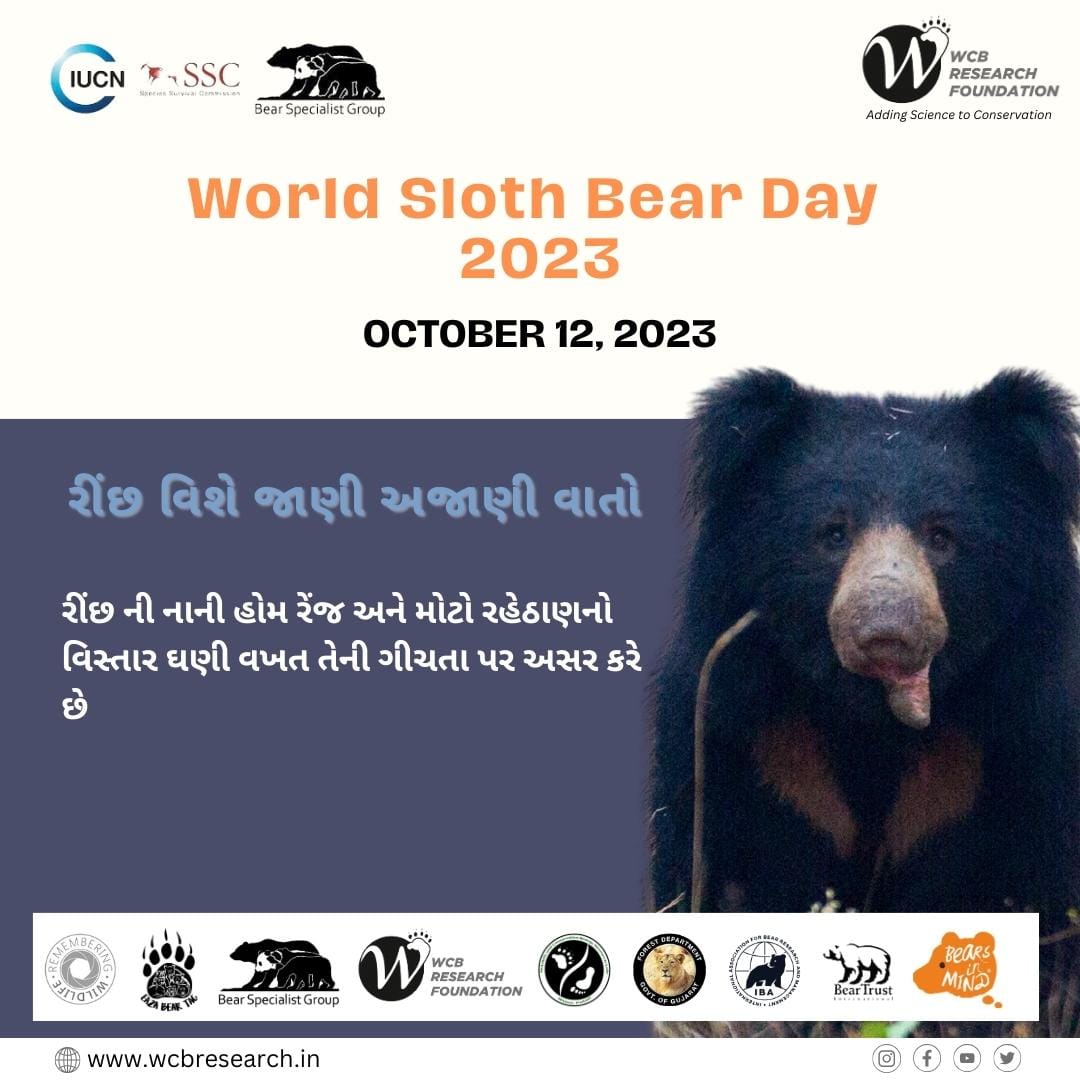 #8 Some unknown facts of sloth bear 

<a href="/BearTrust/">Bear Trust International</a>
<a href="/GujForestDept/">GujaratForestDept</a>
<a href="/IUCNssc/">IUCN Species Survival Commission</a>
<a href="/RemembrWildlife/">Remembering Wildlife</a>
<a href="/bearbiology/">Jennifer Richardson👄♀</a>
<a href="/Berenbos/">Bears in Mind</a>

#worldslothbearday 
#Slothbear #bears 
#wildlife
