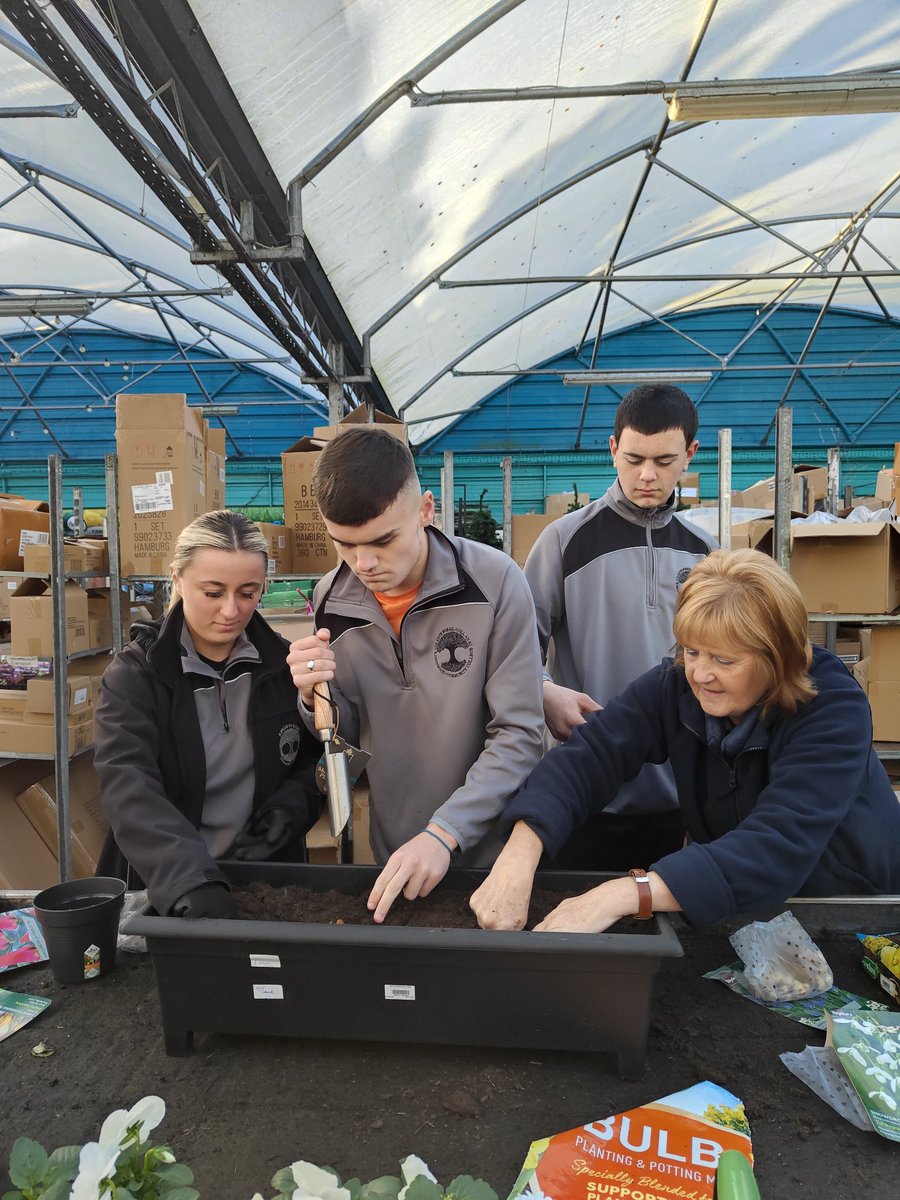 OideUna's tweet photo. A huge thank you to Newlands Garden Centre for an informative session on planting bulbs this morning. @Kingswoodcc16 LCA Horticulture students developed great gardening skills #outdoorlearning @ddletb https://t.co/qCHCHDQyWm