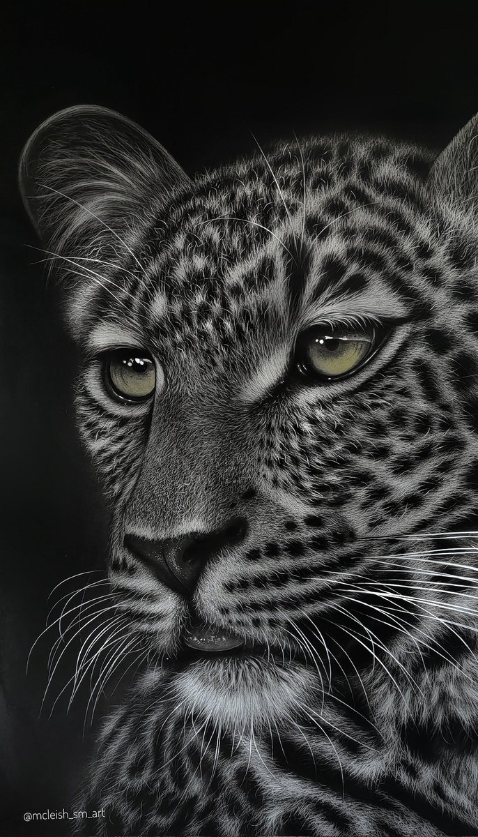 ShanfieldM's tweet image. How Good does one need to be at something to go viral? Is this good enough? 😅....