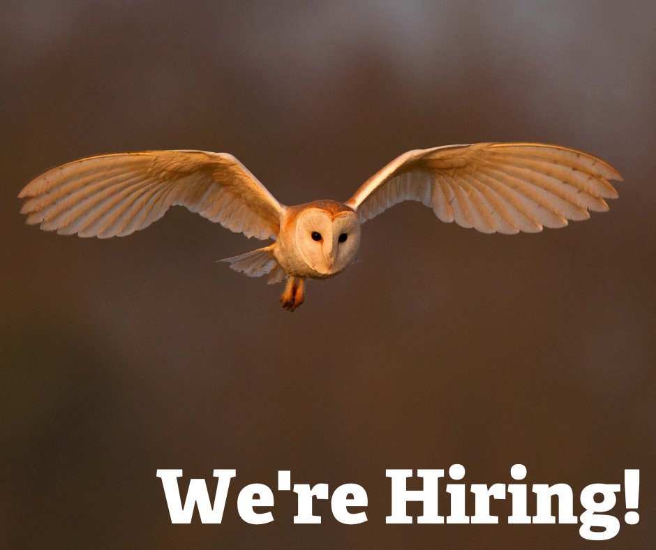 We're Hiring! 

We are looking for:

🌳Arboriculturist (EMEC)
🍁Catering Team Leader
🍂Business Coordinator
🌊Idle Catchment Agricultural Advisor
🦡Membership Recruiter

nottinghamshirewildlife.org/jobs

📸 Andy Rouse/2020VISION

#wildlifejobsuk #wildlifejobs #wildlifecareers