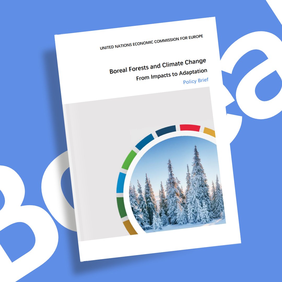 Holding 20% of the world’s carbon #emissions, #borealforests have an essential role to play in addressing #climatechange🌍
Drier weather, outbreaks of pests, diseases, and intense #wildfires, however, put them at risk of losing their captured #carbon🌳

 ➡️bit.ly/3LUlrjO