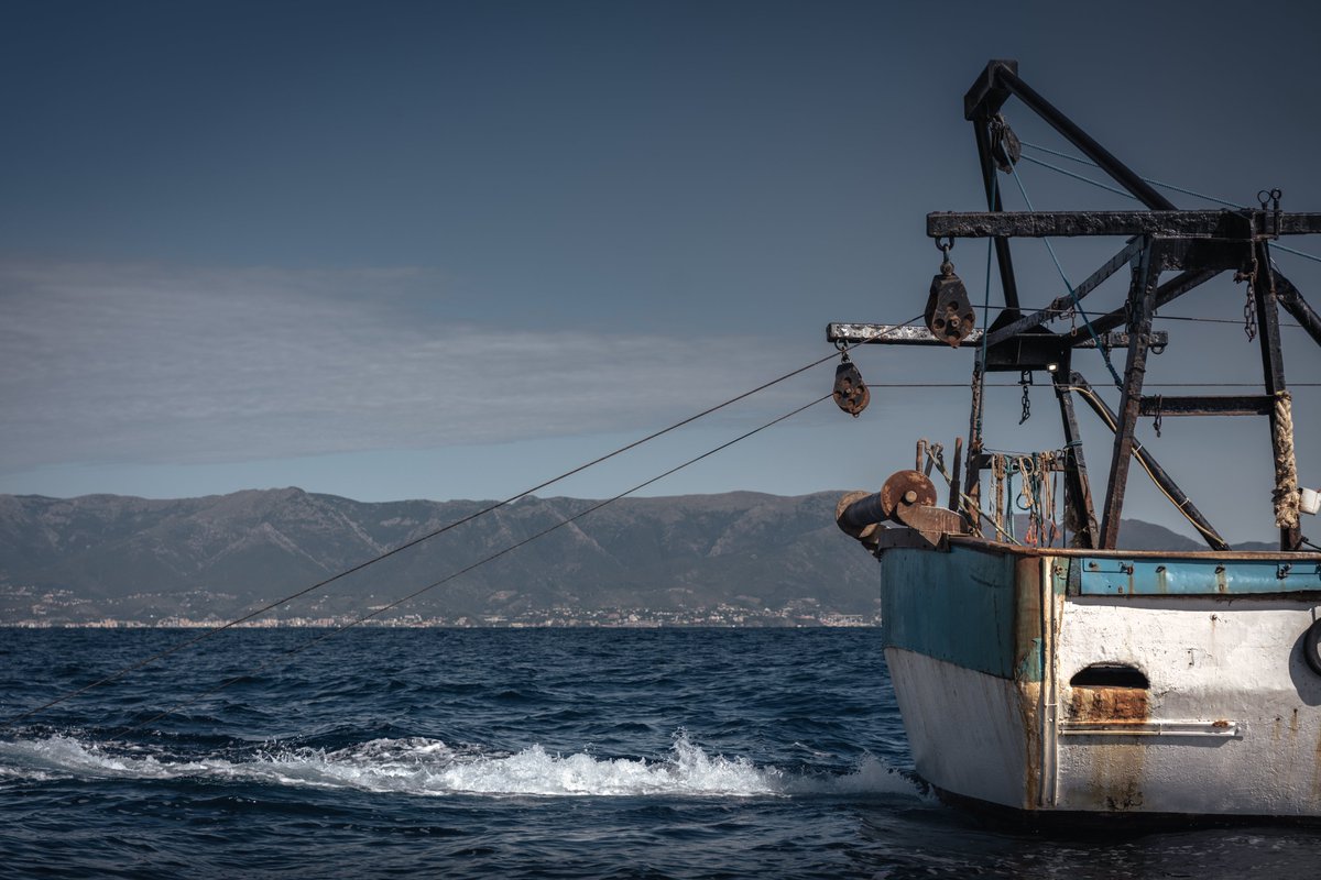 🐟 Siamo impegnati nella conservazione marina!
Il FLAG Savonese lavora per preservare le risorse di pesca e proteggere il nostro ambiente per le generazioni future.

🌊💙

#ReteNazionaleDeiFlag #FlagSavonese