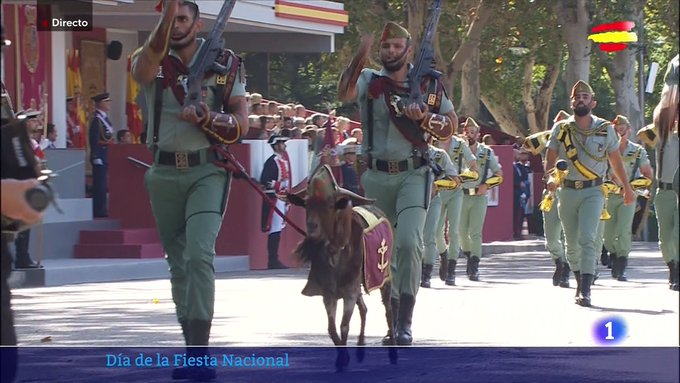 j4virw_'s tweet photo. Quevedo esta presente en el desfile del 12 de Octubre https://t.co/6TAv499e08