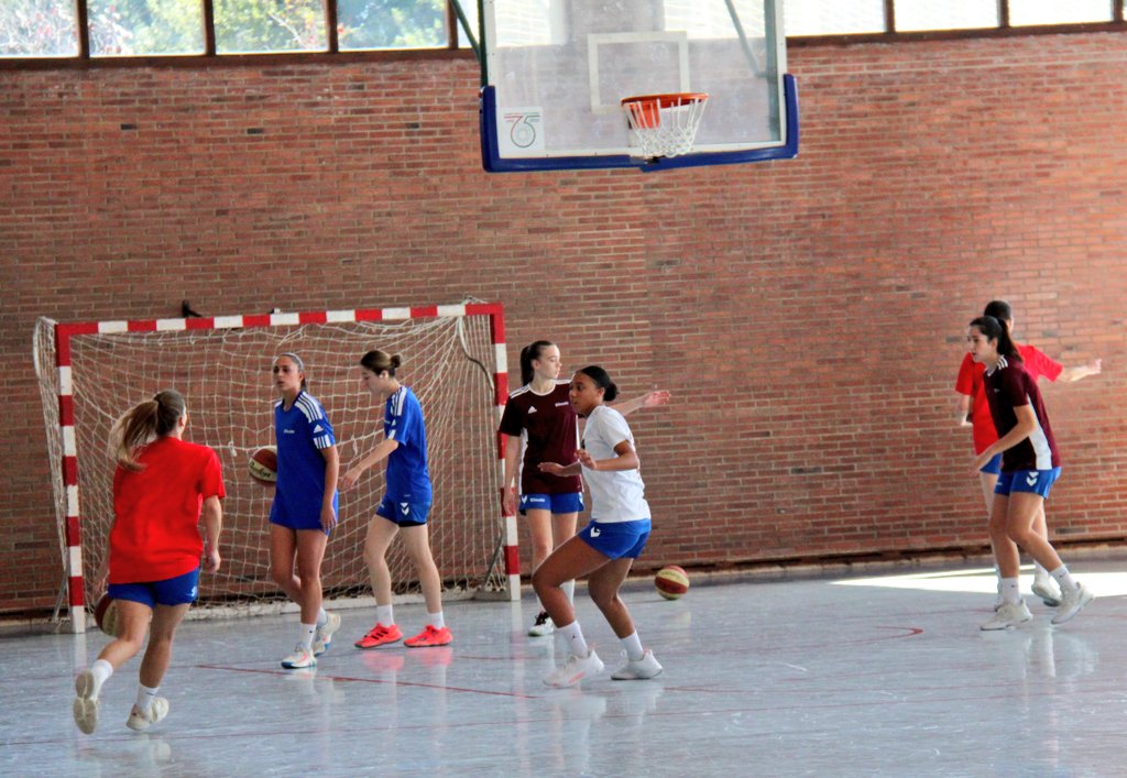 Basketbasko tweet media