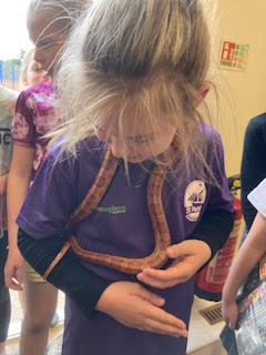The children in our Foundation Stage Unit are learning all about pets and had a very special visitor to our in-house Vets role-play area this week. Lyndsay the snake came to visit which the children LOVED!