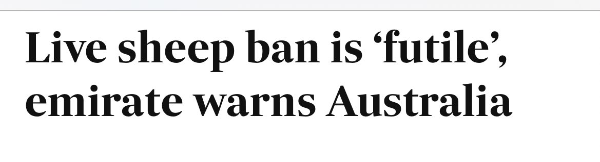 Gillian Fennell tweet media