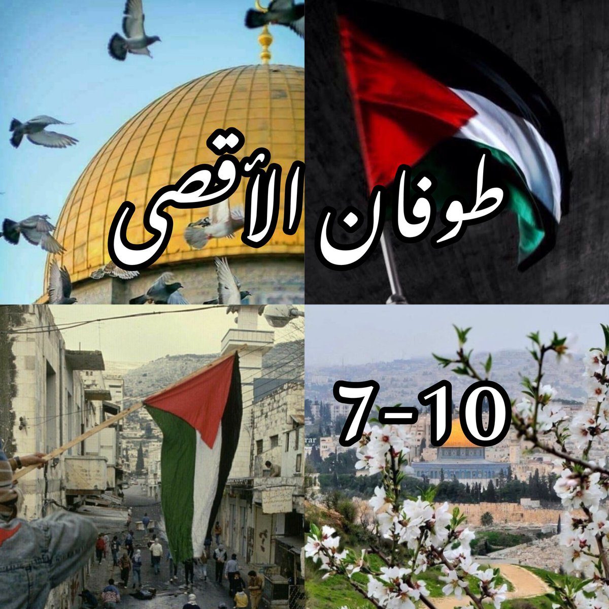 omsjasja's tweet photo. تاريخ فالذاكرة #طوفان_الاقصى_ https://t.co/9e67ysGnyP