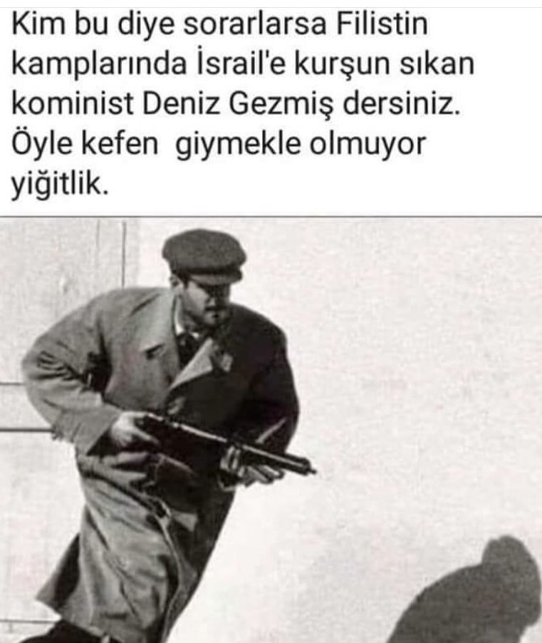 Tamer Yiğit GÜLER (@tameryigitguler) on Twitter photo 