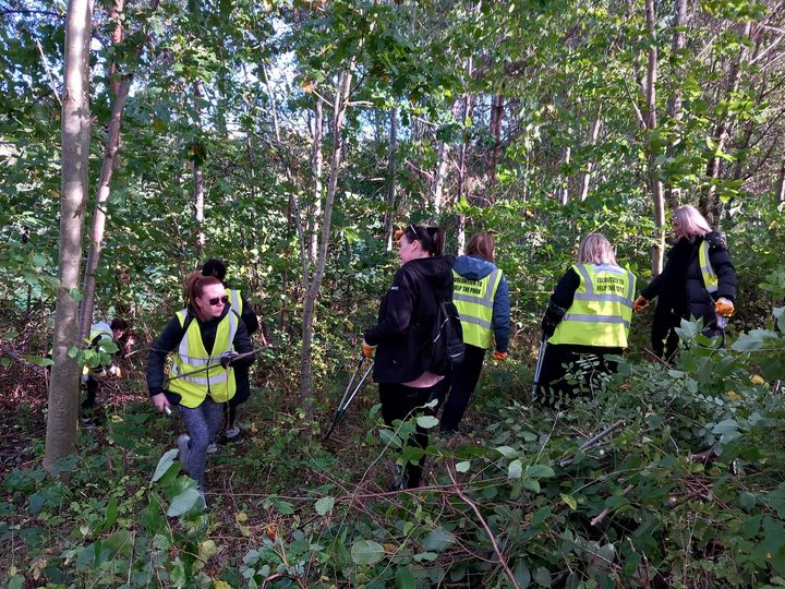 greenspacetrust's tweet image. We spent tree thinning in Burdiehouse Burn Valley Park Nature Reserve with a team of volunteers from @heineken_uk . Thanks for spending the day with us looking after our woodland habitats! @FBBVP @nbrly  @EdinOutdoors #TreeThinning     #WoodlandManagement #Volunteering