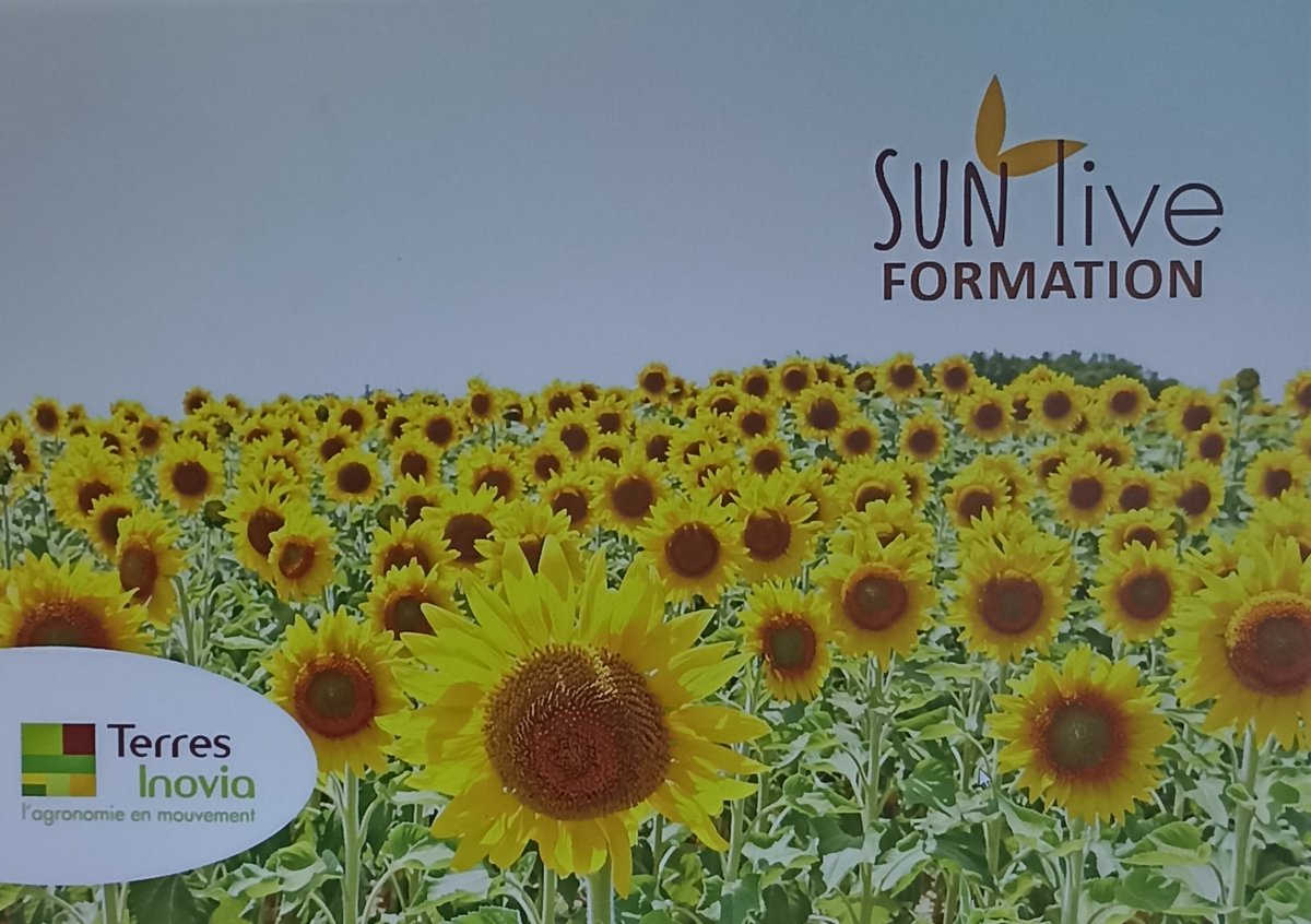 OM_TInovia's tweet photo. Ce matin, avec ma collègue Sylvie nous sommes intervenus dans un des modules de la formation #sunlive @terresinovia pour parler récolte et conservation 🌻9 stagiaires à l'écoute en France et aux Etats Unis 😁 Objectif connaître la culture Française et produire en Afrique 👍 https://t.co/i1en5XGX89