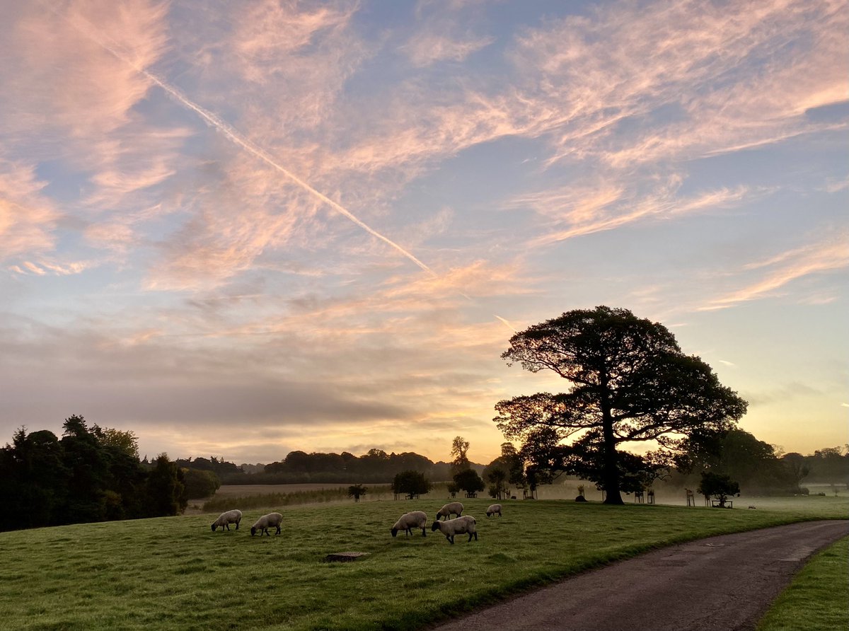 mark_allardice's tweet image. Big thanks to @brigidrussell51 and @charlie_psych for #spacesforlistening this morning - so much to reflect on, trees and benches in particular: