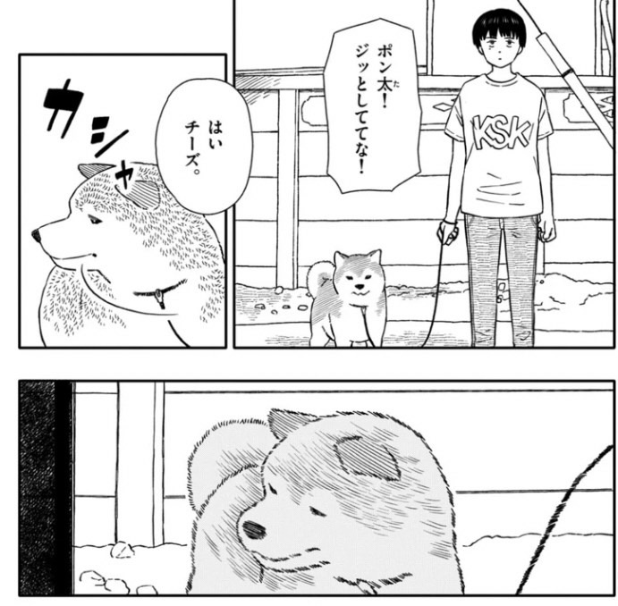 ゲッサン11月号絶賛発売中！】 今日のさんぽんた第44話 被写体 掲載