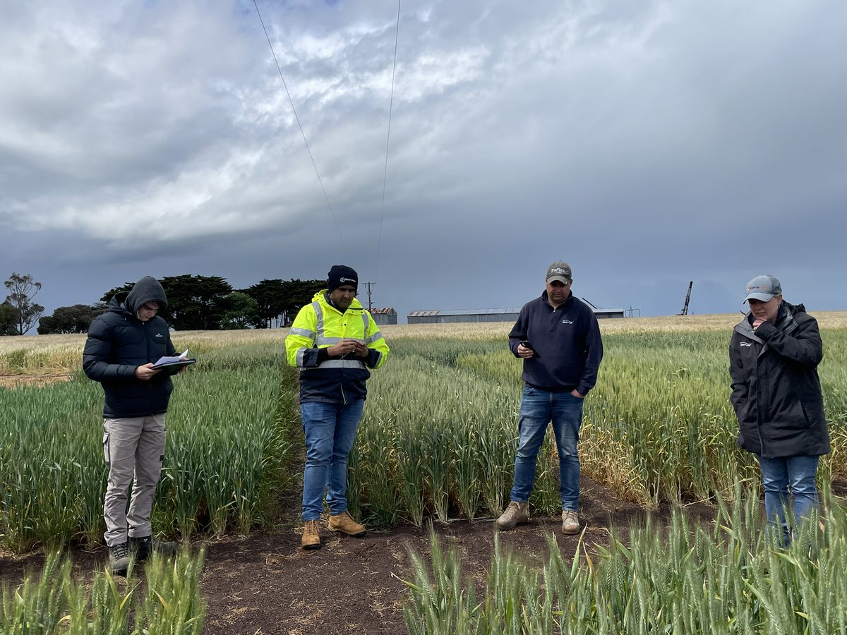 a1bajwa's tweet photo. Our #Agronomy students @SABE_latrobe had a day full of learning all things #HRZ agronomy at Lake Bolac. Thanks to the lovely crew @GorstRural for hosting us.
@latrobe #bestclassroom https://t.co/QIGjnlBvMB