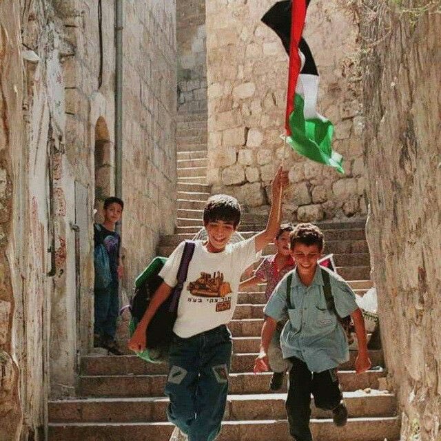Arabbeau's tweet photo. Good morning from Palestine https://t.co/89IAIBk3J9