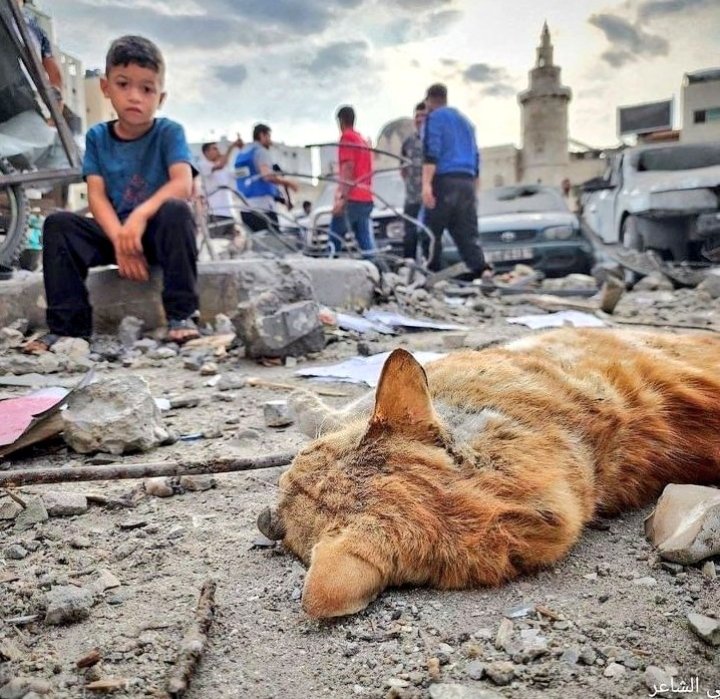 02_saynur36680's tweet photo. İnsan güzel günlere inancını kaybedince ...
Direncini de kaybediyor..."
Güzel günler.
Güzel bir dünyada olur .
Oda kalmadı zaten çok ta 
Umutlanmamak gerek hayal kırıklığı daha fazla oluyor..." 
#Savaşın 
#olduğuyerde
#kimsehuzur
#bulamaz https://t.co/XnZ9WwXesb