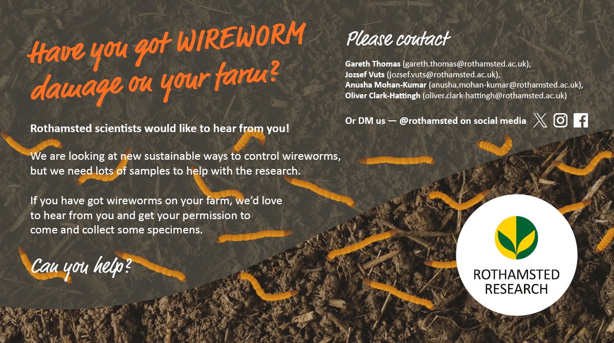 Rothamsted's tweet image. 📣Farmers! We want your wireworms!

Please like and share so that we can collect specimens for our research.

#farming #farm #farmer #wireworm