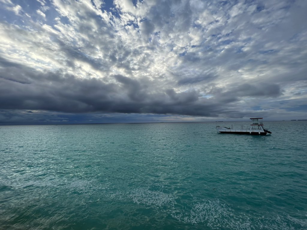 C21MM_2024's tweet image. #Lagoontime #t2c