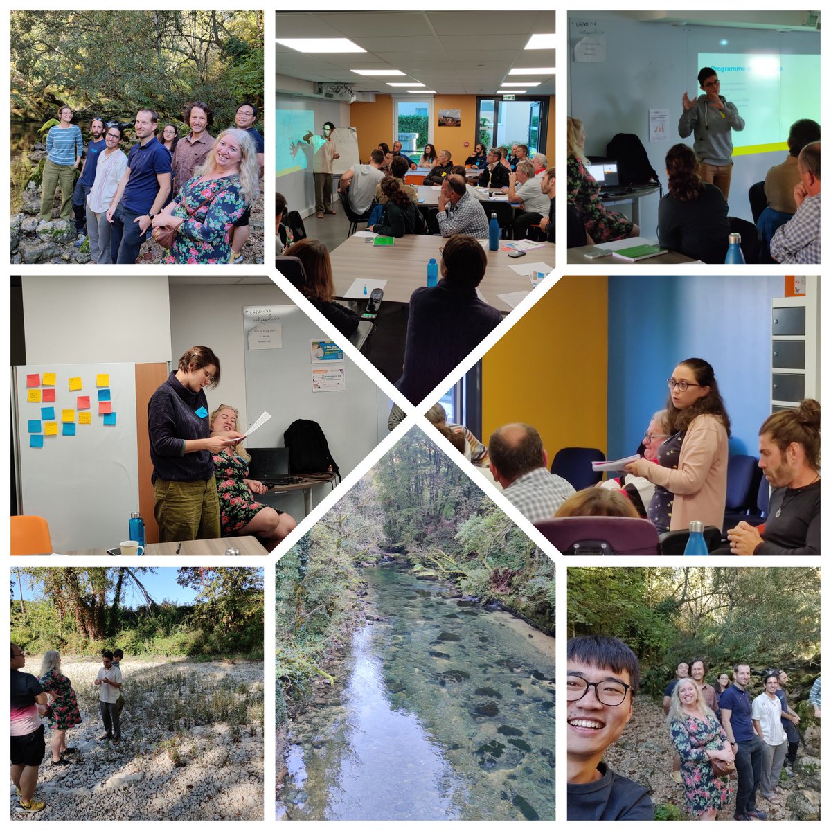 Qing Zhan tweet media