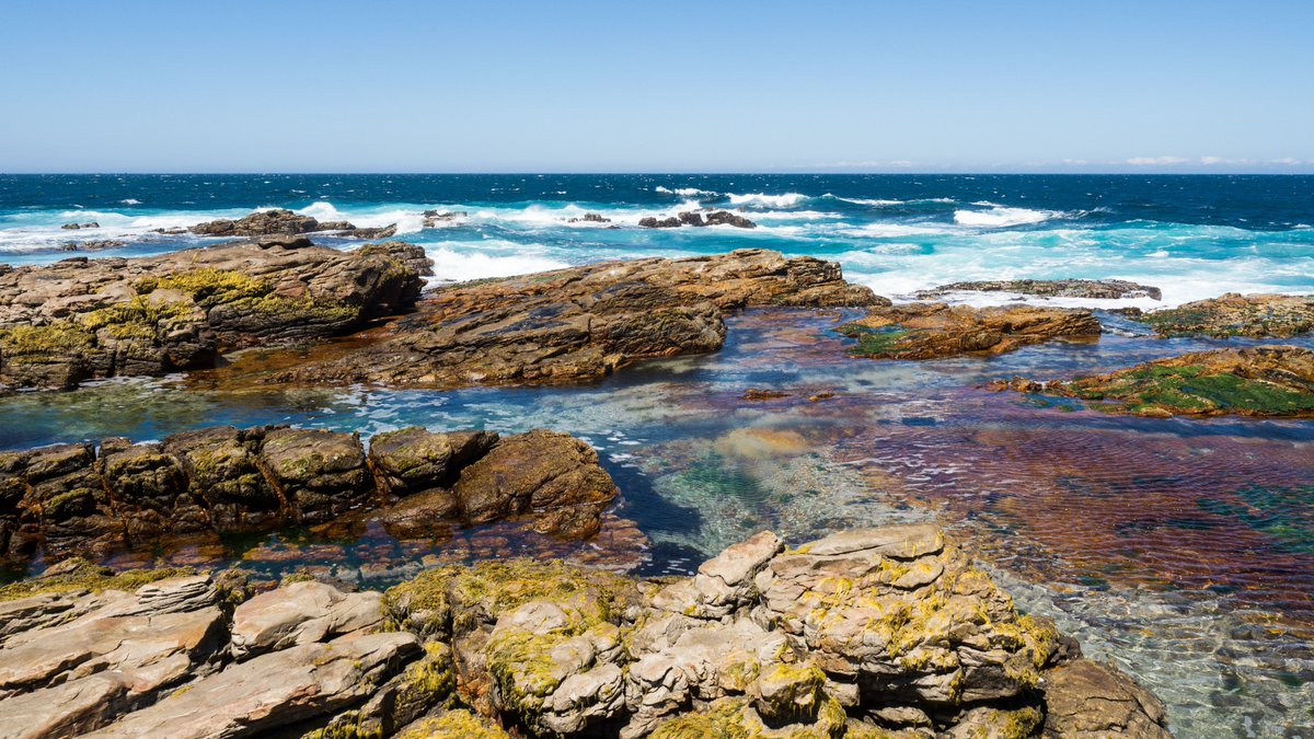 SDU Climate Cluster tweet media