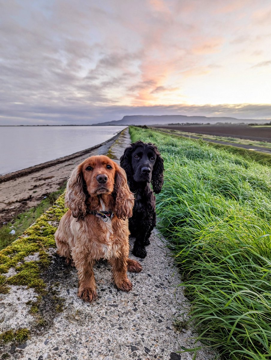 Rachel Conn tweet media