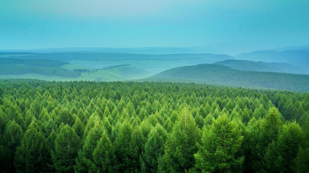 Waarom duurzaam bosbeheer? Bossen helpen klimaatverandering tegen te gaan door CO2 uit de atmosfeer te halen, ons te beschutten tegen natuurrampen en de bodem te beschermen tegen erosie. Kies voor PEFC-gelabeld houtproducten en help ze te behouden voor toekomstige generaties!